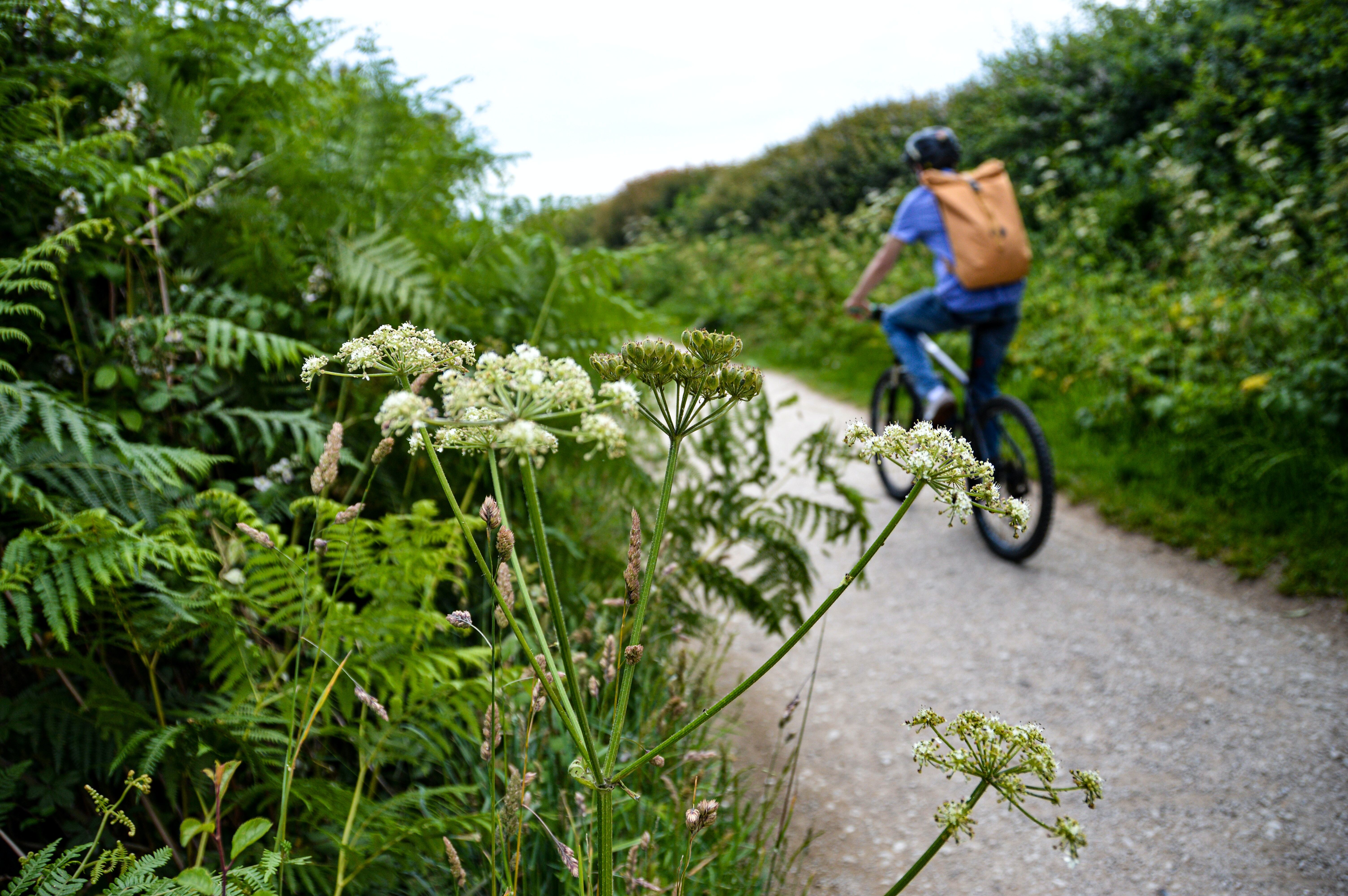 10 Reasons Why Cycling Once a Week is Great for Your Health