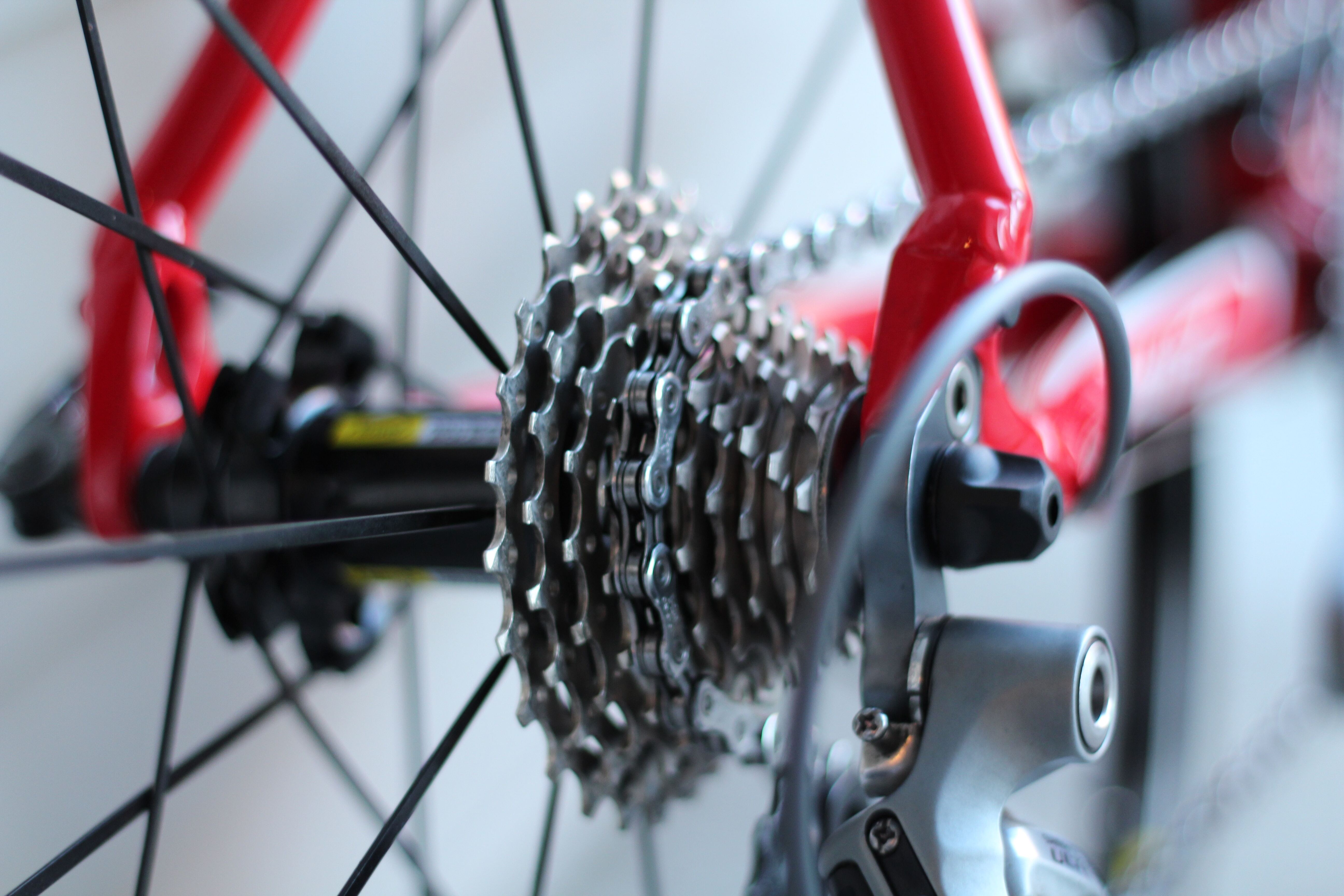 The Importance of Regular Bike Maintenance: Tips from UK Mechanics